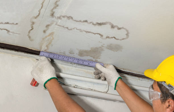 Reliable Basement Water Removal contractor in Lowell, WI by Water Damage Irwin